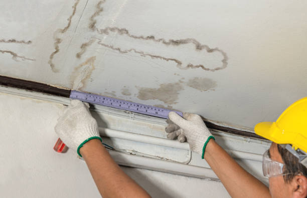 Reliable Mold Remediation contractor in Bellville, TX by Water Damage Irwin